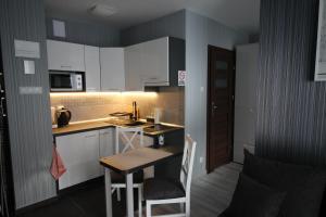 Kuchyňa alebo kuchynka v ubytovaní Studio Zabobrze + 10 fotografií