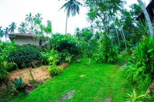 A garden outside Shadow Surf Bay