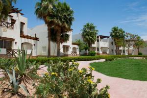 a resort with palm trees and a pathway at Amphoras Aqua in Sharm El Sheikh