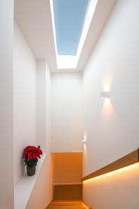 a skylight in a white room with a potted plant at Vista Lisboa Guest Apartments in Almada