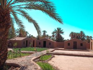 a row of houses in a desert with a palm tree at sahara desert camp tours in Zagora