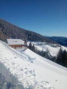 Táj Show holiday homes közelében