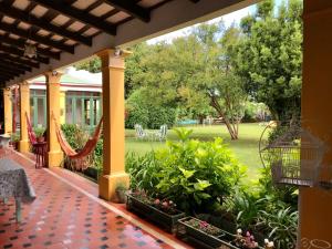 Κήπος έξω από το Casa Bellavista