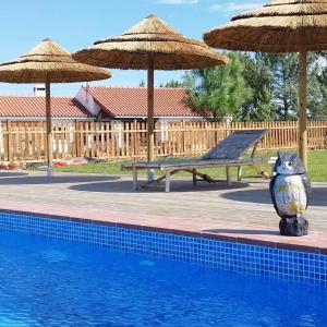 a vase sitting next to a swimming pool with umbrellas at Quinta das Beldroegas - Casas de Campo in São Teotónio