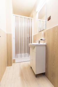 een badkamer met een wastafel en een spiegel bij Casa Engels in Cluj-Napoca