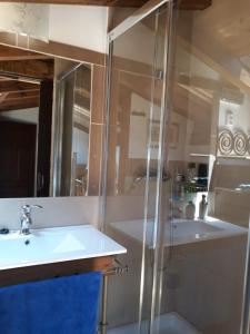 a bathroom with a glass shower and a sink at La Bodeguita in Cuzcurrita-Río Tirón