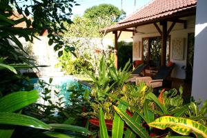 ein Haus mit einem Pool im Garten in der Unterkunft Villa Chinta 1 in Sanur