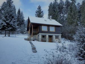 a log cabin in the snow with a path at Chata FORESTINA in Vyšné Ružbachy