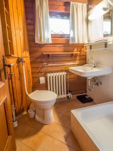 a bathroom with a toilet and a sink at Haus am Hang in Bad Lauterberg