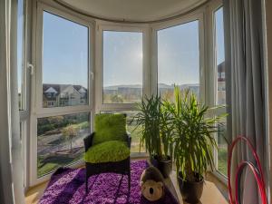 um quarto com uma janela com uma cadeira e plantas em Ferienwohnung Münster em Wernigerode