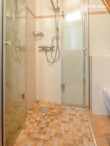 een douche met een glazen deur in een badkamer bij Finnhütte am Kapitelsberg in Wernigerode