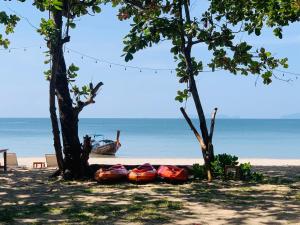 a group of kayaks on the beach next to two trees at Koh Jum Delight Beach in Ko Jum