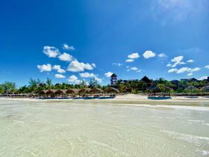 a beach with a group of umbrellas and the ocean at Palapas del Sol in Holbox Island