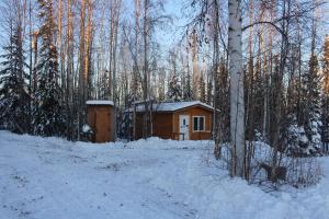 una piccola cabina nel bosco nella neve di Alaskan Adventure Dry Cabins a Pleasant Valley
