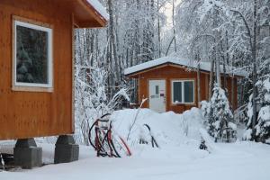a cabin in the woods covered in snow at Alaskan Adventure Dry Cabins in Pleasant Valley +17 photos