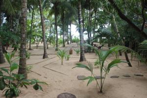 Zahrada ubytování Ganesh Garden Beach Cabanas