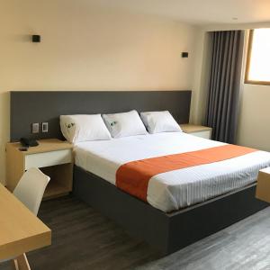 una habitación de hotel con una cama y un escritorio en Hotel Conde Alameda CDMX, en Ciudad de México