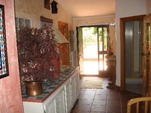 a kitchen with a counter with a potted plant on it at Villa Asinara in Platamona