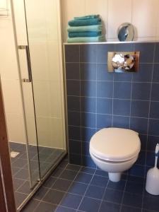 a bathroom with a toilet and a glass shower at Regina Vught in Vught