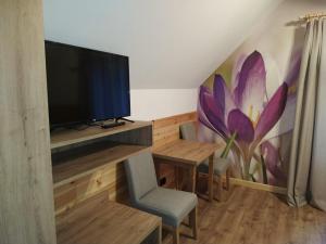 TV a/nebo společenská místnost v ubytování Dwór Wapowce
