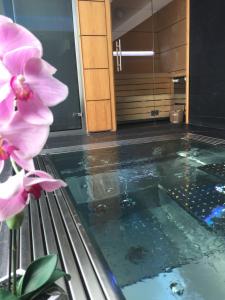 Bazén v ubytování Hotel Castellote nebo v jeho okolí
