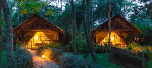 two bamboo huts in a forest with lights at Kibale Forest Camp by NATURE LODGES LTD in Kyenjojo