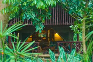 Afbeelding uit fotogalerij van Kibale Forest Camp by NATURE LODGES LTD in Kyenjojo