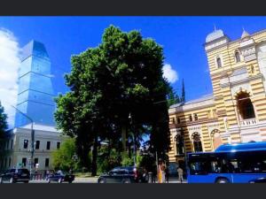 Φωτογραφία από το άλμπουμ του Rustaveli Hotel στην Τιφλίδα