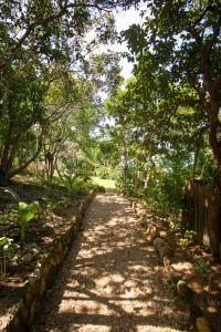 un chemin dans un parc avec des arbres et une clôture dans l'établissement La Estancia Busuanga, à Busuanga