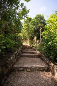 un conjunto de escalones de piedra en un bosque con árboles en La Estancia Busuanga, en Busuanga