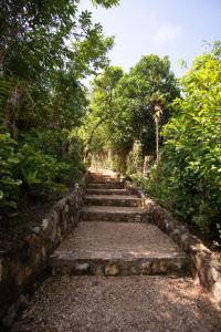
a pathway leading to a stone wall with trees at La Estancia Busuanga in Busuanga
