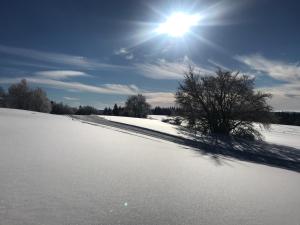 un campo cubierto de nieve con el sol en el cielo en Chez Jeanmyvonne, en La Bresse