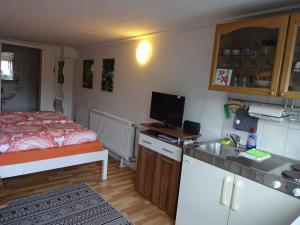Habitación pequeña con cocina y cama en Ferienwohnung Kretschmer, en Dessau