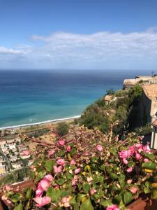 uma vista para o oceano e uma praia com rosas rosas em Residenza d'Epoca Borgodifiume em Fiumefreddo Bruzio