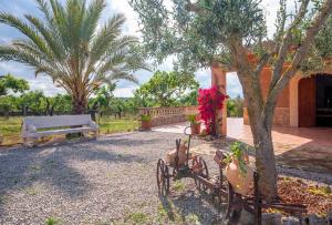 A garden outside Finca Caseta Son Morro