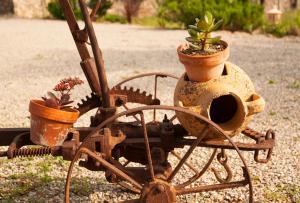 A garden outside Finca Caseta Son Morro