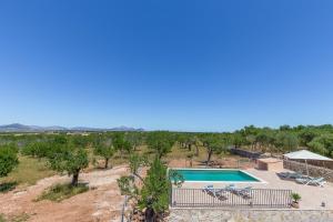 The swimming pool at or close to Finca Caseta Son Morro
