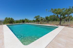 The swimming pool at or close to Finca Caseta Son Morro