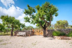Kép Finca Caseta Son Morro szállásáról Can Picafortban a galériában