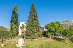 A garden outside Villa Tramontana