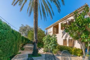 A garden outside Villa Tramontana