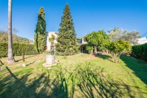 A garden outside Villa Tramontana