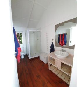 ein Bad mit einem Waschbecken und einem Spiegel in der Unterkunft Mar Azul 4 in Ponta Malangane