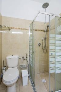W łazience znajduje się toaleta i przeszklony prysznic. w obiekcie Yagen boutique apartments w mieście Hajfa