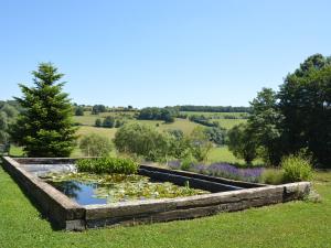un jardín con un estanque en el césped en Superb Holiday Home with Barbecue, en Plombières