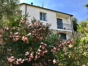 Vonkajšia záhrada v ubytovaní Casa Mediterraneo