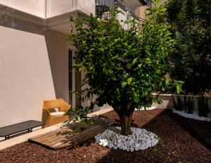 A garden outside Accademia Hotel