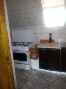 a small kitchen with a stove and a sink at Vila Coca in Predeal