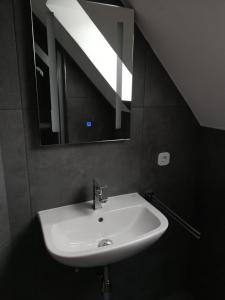ヴィンターベルクにあるAppartement Kiefernweg Winterbergのバスルーム(鏡付き白い洗面台付)