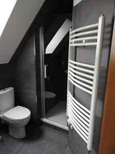 ヴィンターベルクにあるAppartement Kiefernweg Winterbergのバスルーム(トイレ、ガラス張りのシャワー付)